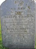 image of grave number 855526